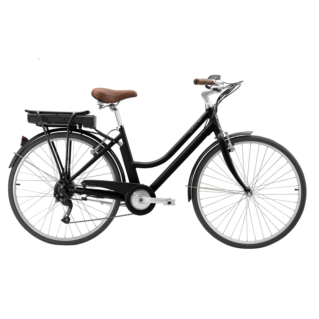 towne electric bike