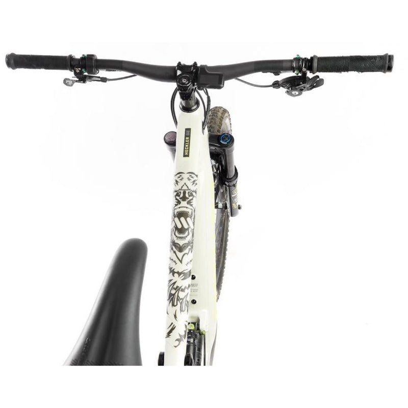 Ams Frame Guard Extra Bear Clear/Grey