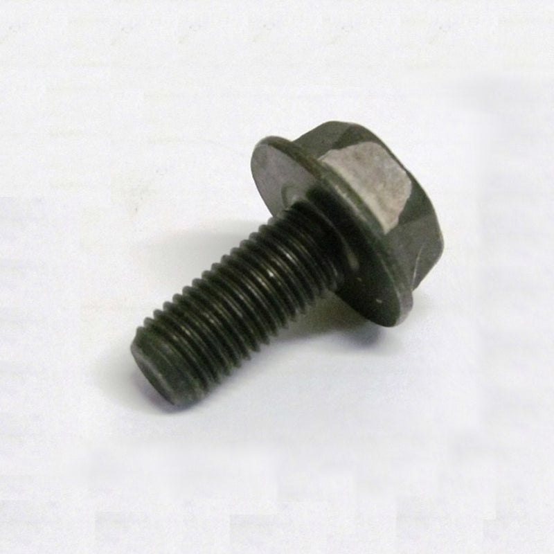 Bottom Bracket Axle Bolts Only