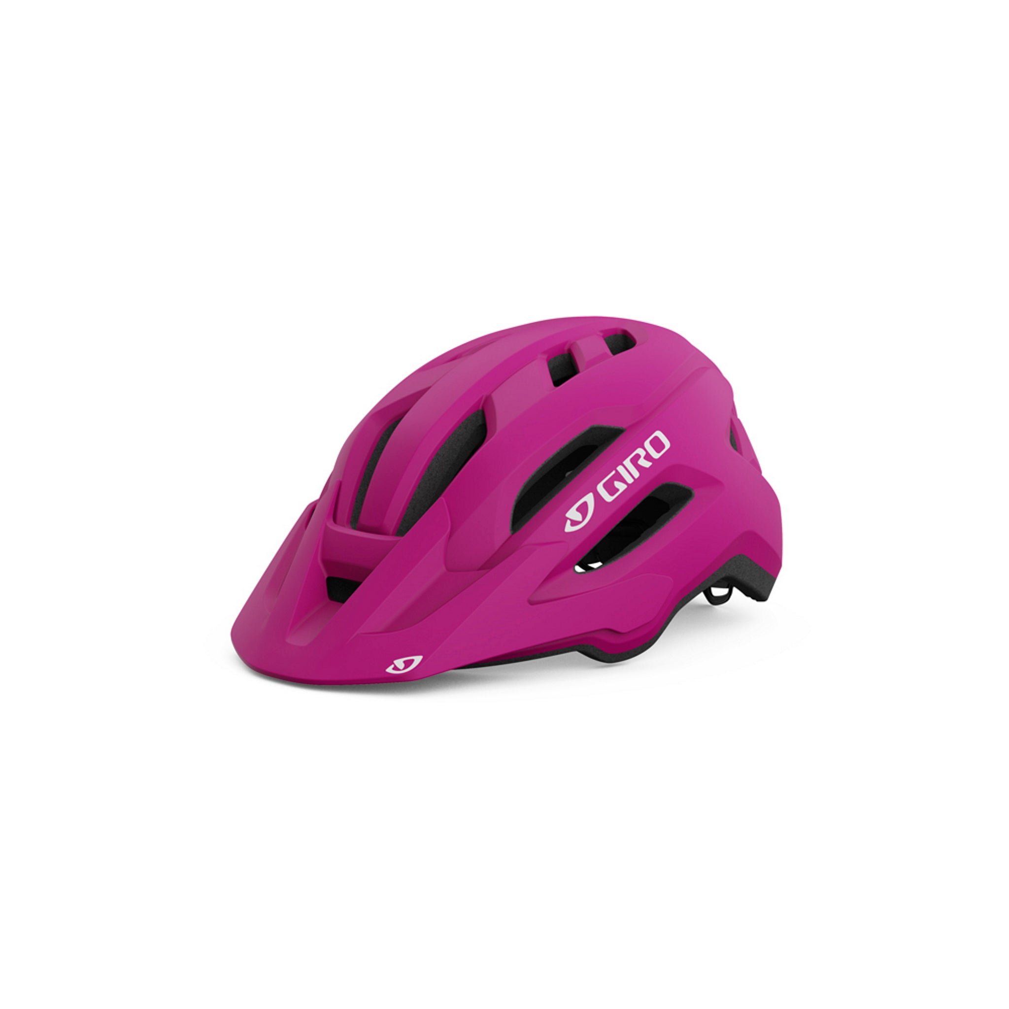 Giro fixture hot sale frost