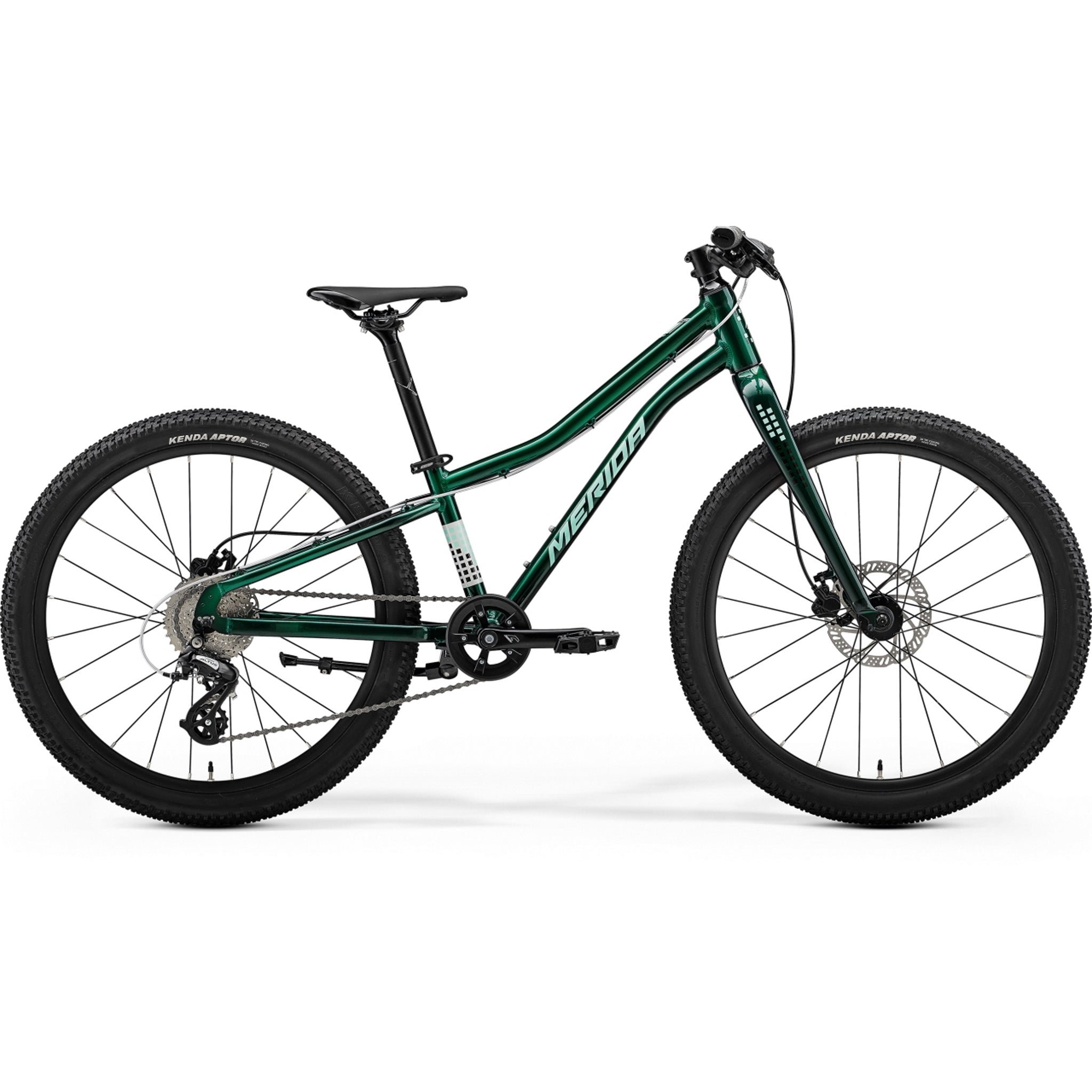 Evergreen bike online