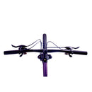 Pedal Thrasher 4 Trapeze Hardtail Mountain Bike Aubergine