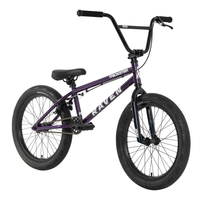 Raven Trickster 20” Youth Freestyle BMX Bike Purple