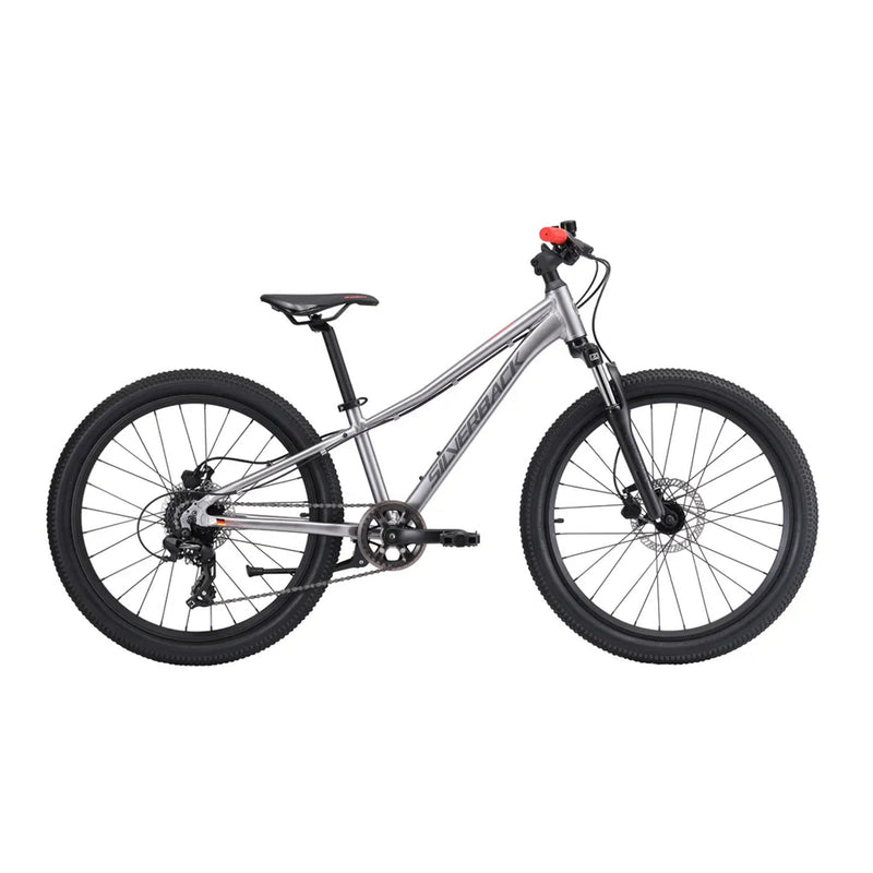 Silverback Spyke SE 24" Kids Mountain Bike Moondust Metallic