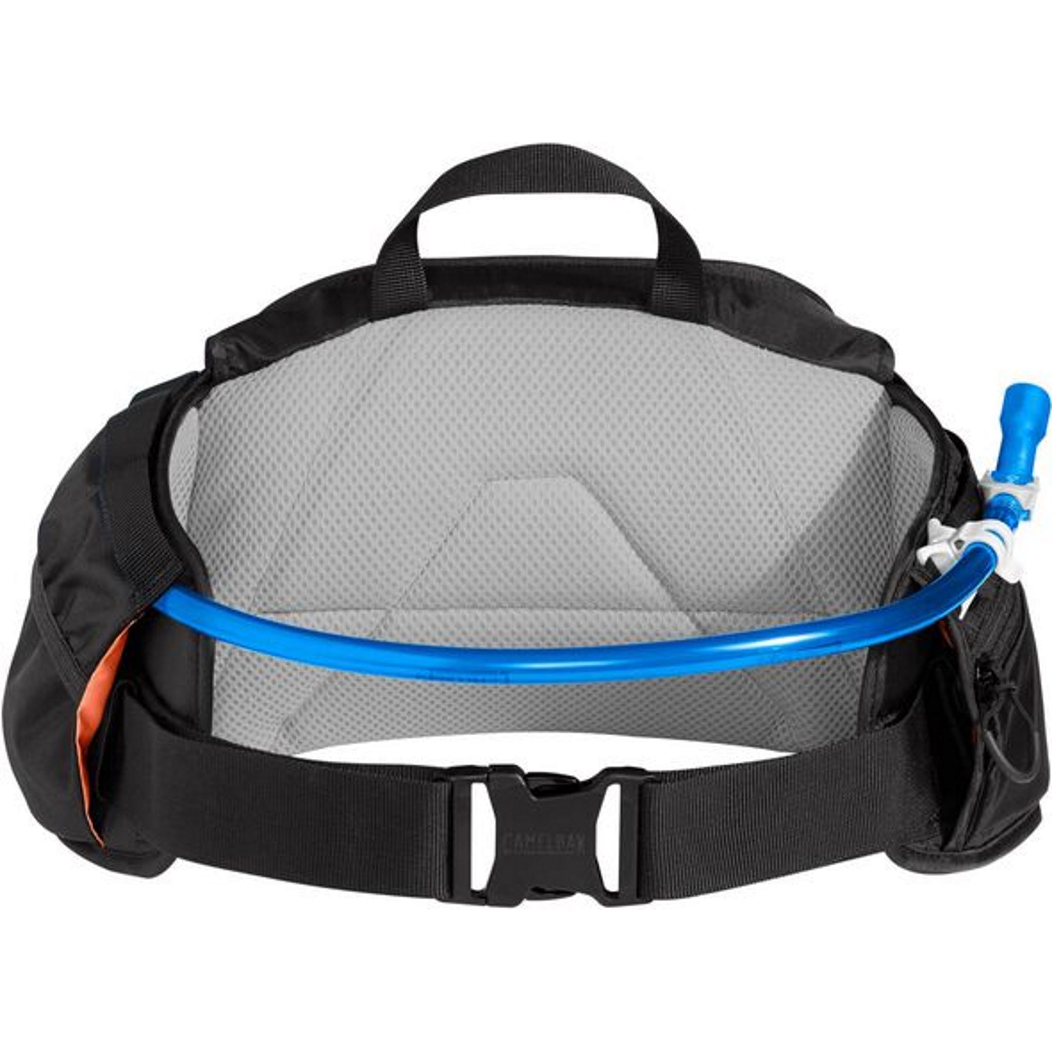 Camelback hotsell hip pack