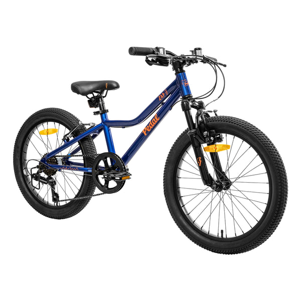 Boys 20 inch on sale bike blue