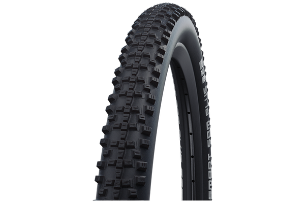 Schwalbe smart sam performance sales 29